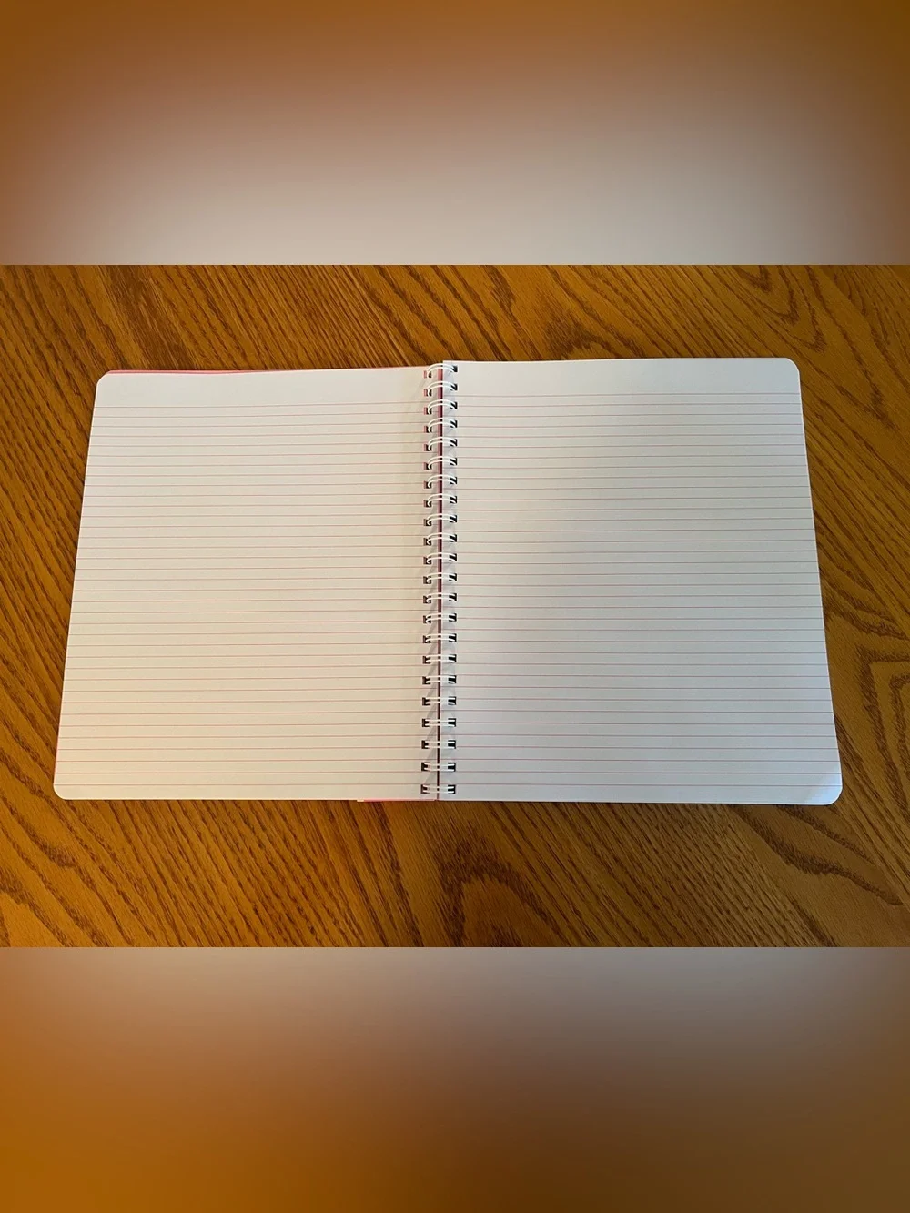 Lilly Pulitzer Large Hardcover Spiral Notebook Featured in Frenchie Blue Caning